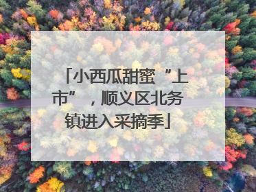 小西瓜甜蜜“上市”，顺义区北务镇进入采摘季